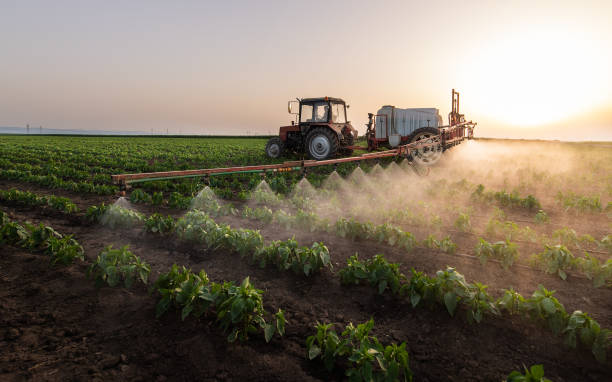 Best Mosquito Control Services  in Keenesburg, CO
