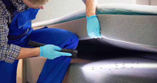 Best Affordable Exterminators  in Keenesburg, CO